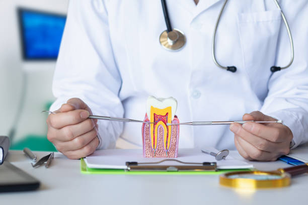 Best Cosmetic Emergency Dentistry in Lemoore, CA